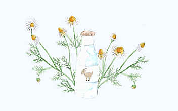 Grüne Kosmetik zum Selbermachen: Kinderbad mit Ziegenmilch und Haferflocken - (c) Illustration: Anna Schober Grüne Kosmetik zum Selbermachen: Kinderbad mit Ziegenmilch und Haferflocken