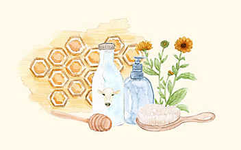 Grüne Kosmetik zum Selbermachen: Anti-Spliss-Shampoo mit Molke - (c) Illustration: Anna Schober Grüne Kosmetik zum Selbermachen: Anti-Spliss-Shampoo mit Molke