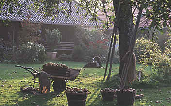 Käfers Gartentipps: 7 Dinge, die im herbstlichen Garten zu tun sind - (c) Foto: Katrin Schuhmann Käfers Gartentipps: 7 Dinge, die im herbstlichen Garten zu tun sind