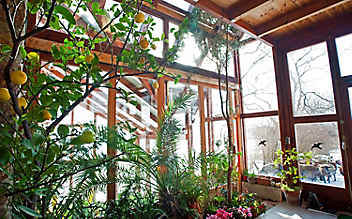Käfers Gartentipps: Kübelpflanzen richtig einwintern - (c) Foto: Simone Andress Käfers Gartentipps: Kübelpflanzen richtig einwintern
