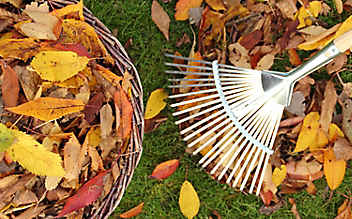 Käfers Gartentipps: So kompostieren Sie Herbst-Laub richtig - (c) Foto: Mauritius Images Käfers Gartentipps: So kompostieren Sie Herbst-Laub richtig