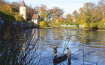 Dinkelsbühler Fischernte: 27. Oktober bis 5. November - (c) Foto: Wenzel Dinkelsbühler Fischernte: 27. Oktober bis 5. November