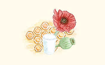 Grüne Kosmetik zum Selbermachen: Mohn-Peeling - (c) Illustration: Anna Schober Grüne Kosmetik zum Selbermachen: Mohn-Peeling