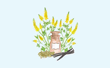 Grüne Kosmetik zum Selbermachen: Winter-Parfüm - (c) Illustration: Anna Schober Grüne Kosmetik zum Selbermachen: Winter-Parfüm