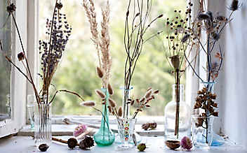 Inspiration für daheim: Mit Samenkapseln, Nüssen und Zweigen dekorieren - (c) Foto: Katharina Gossow Inspiration für daheim: Mit Samenkapseln, Nüssen und Zweigen dekorieren