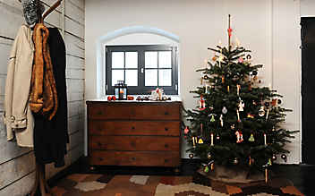Woher kommt der Christbaum? - (c) Foto: Alexi Pelekanos Woher kommt der Christbaum?