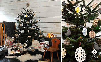 Kleine Christbaum-Kunde - (c) Foto: Alexi Pelekanos Kleine Christbaum-Kunde
