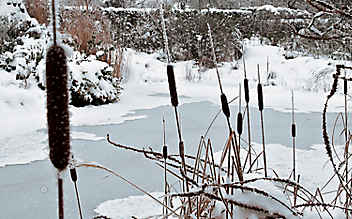 Dezember-Gartentipp Nr. 3: Luftlöcher im Teich schaffen - (c) Foto: Phillipp Schuster Dezember-Gartentipp Nr. 3: Luftlöcher im Teich schaffen