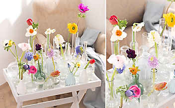 Frühlingsblumen im Glas - (c) Foto: Konrad Limbeck Frühlingsblumen im Glas