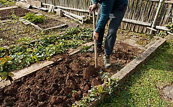 März-Gartentipp Nr. 3: Beete schonend umgraben - (c) Foto: Thinkstock März-Gartentipp Nr. 3: Beete schonend umgraben