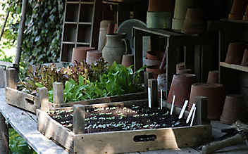 Adressen für Bio-Saatgut und Jungpflanzen in Österreich - (c) Foto: Kathrin Schuhmann Adressen für Bio-Saatgut und Jungpflanzen in Österreich