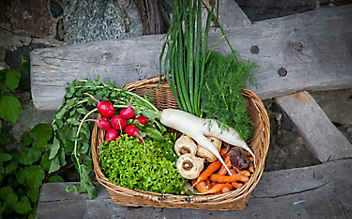Heilkunde aus dem Küchenkastl - (c) Foto: Julia Rotter Heilkunde aus dem Küchenkastl