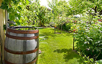 Mai-Gartentipp Nr. 2: Wie man im Garten Wasser spart - (c) Foto: Thinkstock Mai-Gartentipp Nr. 2: Wie man im Garten Wasser spart