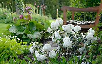 Mai-Gartentipp Nr. 3: Blühsträucher richtig schneiden - (c) Bild: Mauritius Images Mai-Gartentipp Nr. 3: Blühsträucher richtig schneiden