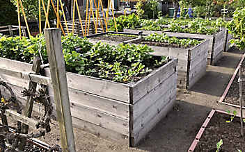 Schicht für Schicht zum eigenen Hochbeet - (c) Foto: Mauritius Images Schicht für Schicht zum eigenen Hochbeet