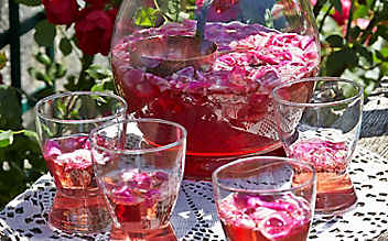 7 Rezepte für eine gelungene Sommer-Bowle - (c) Foto: Petra Kamenar 7 Rezepte für eine gelungene Sommer-Bowle