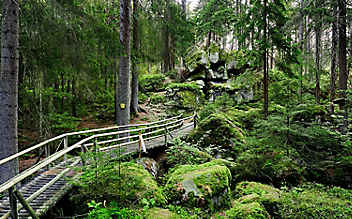 5 Ausflugstipps für das nördliche Waldviertel - (c) Foto: Peter Podpera 5 Ausflugstipps für das nördliche Waldviertel