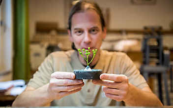Der Zauber der Weinraute - (c) Foto: Lucas Pripfl Der Zauber der Weinraute