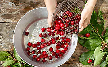 5 sommerliche Rezepte mit Kirschen - (c) Foto: Eisenhut & Mayer 5 sommerliche Rezepte mit Kirschen