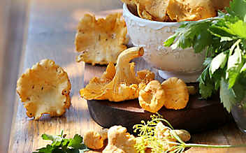 5 Rezepte mit Eierschwammerl - (c) Foto: iStock Photo 5 Rezepte mit Eierschwammerl
