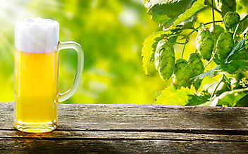 5 Bier-Produkte, die keinen Schwips verursachen - (c) Foto: Mauritius Images 5 Bier-Produkte, die keinen Schwips verursachen