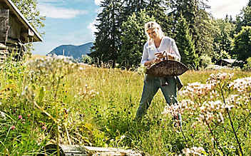 So zaubert man aus Spitzwegerich eine köstliche Suppe - (c) Foto: Bernhard Huber So zaubert man aus Spitzwegerich eine köstliche Suppe