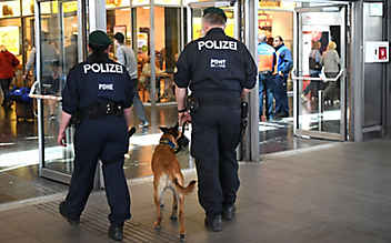 Das Niveau bei der Polizei sinkt dramatisch - (c) Bild: HELMUT FOHRINGER / APA / picturedesk.com Das Niveau bei der Polizei sinkt dramatisch