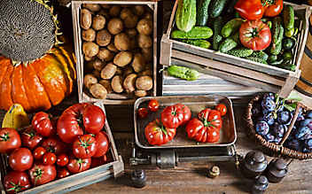 Ordnung im Gemüse- und Obstlager - (c) Foto: Mauritius Images Ordnung im Gemüse- und Obstlager