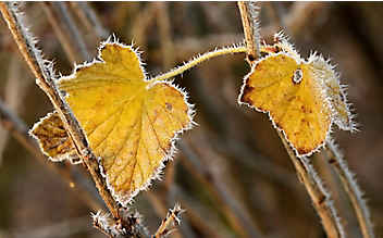 So kalt war es noch nie im September - (c) Pixabay So kalt war es noch nie im September