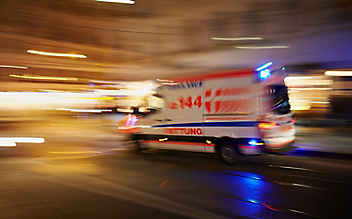 Dackel beißt Zweijährige in Perchtoldsdorf ins Gesicht Dackel beißt Zweijährige in Perchtoldsdorf ins Gesicht