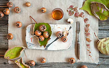 5 herbstliche Deko-Ideen mit Laub - (c) Foto: Katharina Gossow 5 herbstliche Deko-Ideen mit Laub