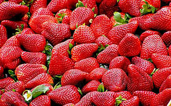 Erdbeeren aus Polen: Hepatitis A auch in Österreich Erdbeeren aus Polen: Hepatitis A auch in Österreich