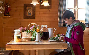 2 Rezepte mit Kräutern für die Immunabwehr - (c) Foto: Mirco Taliercio 2 Rezepte mit Kräutern für die Immunabwehr