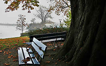 5 Gründe, den November im Freien zu verbringen - (c) Foto: Pixabay 5 Gründe, den November im Freien zu verbringen