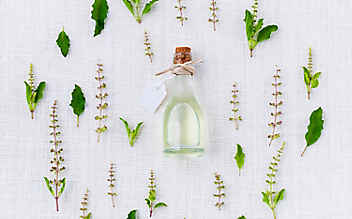 Aromatische Kräuteröle selber machen - (c) Foto: Pixabay Aromatische Kräuteröle selber machen