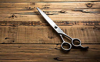 Mit diesem Trick wird die Schere wieder scharf - (c) Foto: Pixabay Mit diesem Trick wird die Schere wieder scharf