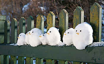 Es muss nicht immer ein Schneemann sein - (c) Foto: Katharina Gossow Es muss nicht immer ein Schneemann sein