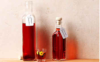 Likör von schwarzen Johannisbeeren - (c) Foto: Eisenhut & Mayer Johannisbeer-Likör