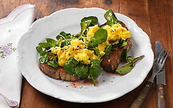 Brot mit Brunnenkresse und Eierspeis - (c) Foto: Eisenhut & Mayer Brot mit Brunnenkresse