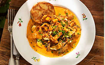 Cremiges Wildschwammerl-Ragout mit Semmelknödeln - (c) Foto: Eisenhut & Mayer Wildschwammerl-Ragout