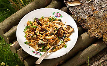 Einkorn mit Steinpilzen - (c) Foto: Eisenhut & Mayer Einkorn
