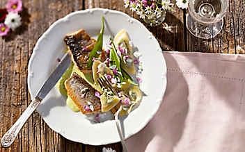 Blütensaibling mit Pistaziensauce und Bärlauchtascherln - (c) Foto: Eisenhut & Mayer Blütensaibling