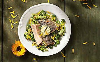 Forellenfilet mit Ringelblumenbutter auf Brokkoligemüse - (c) Foto: Eisenhut & Mayer Forellenfilet auf Brokkoli