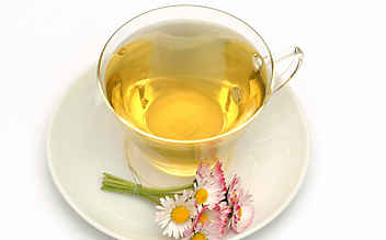 Halsweh-Tee aus Gänseblümchen-Blüten - (c) Illustration: Andreas Leitner Gänseblümchen-Tee