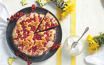 Ribiselkuchen - (c) Foto: Eisenhut & Mayer Ribiselkuchen