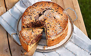 Kuchen mit Hollerbeeren - (c) Foto: Eisenhut & Mayer Kuchen mit Hollerbeeren