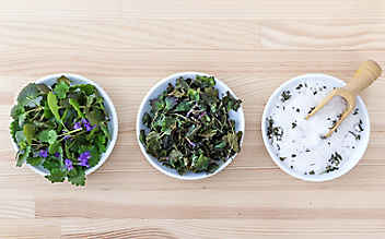 Zwei Kräutersalze selbst gemacht - (c) Foto: Pixabay Zwei Kräutersalze selbst gemacht