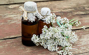 Blütensprudel für die Darmflora - (c) Thinkstock Blütensprudel