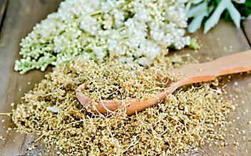 Mädesüß-Sirup gegen Kopfschmerzen - (c) Thinkstock Mädesüß-Sirup