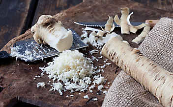 Kren-Sirup gegen Husten - (c) Mauritius Images Krensirup